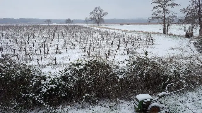 Domaine de Ravanes - vigneron Languedoc