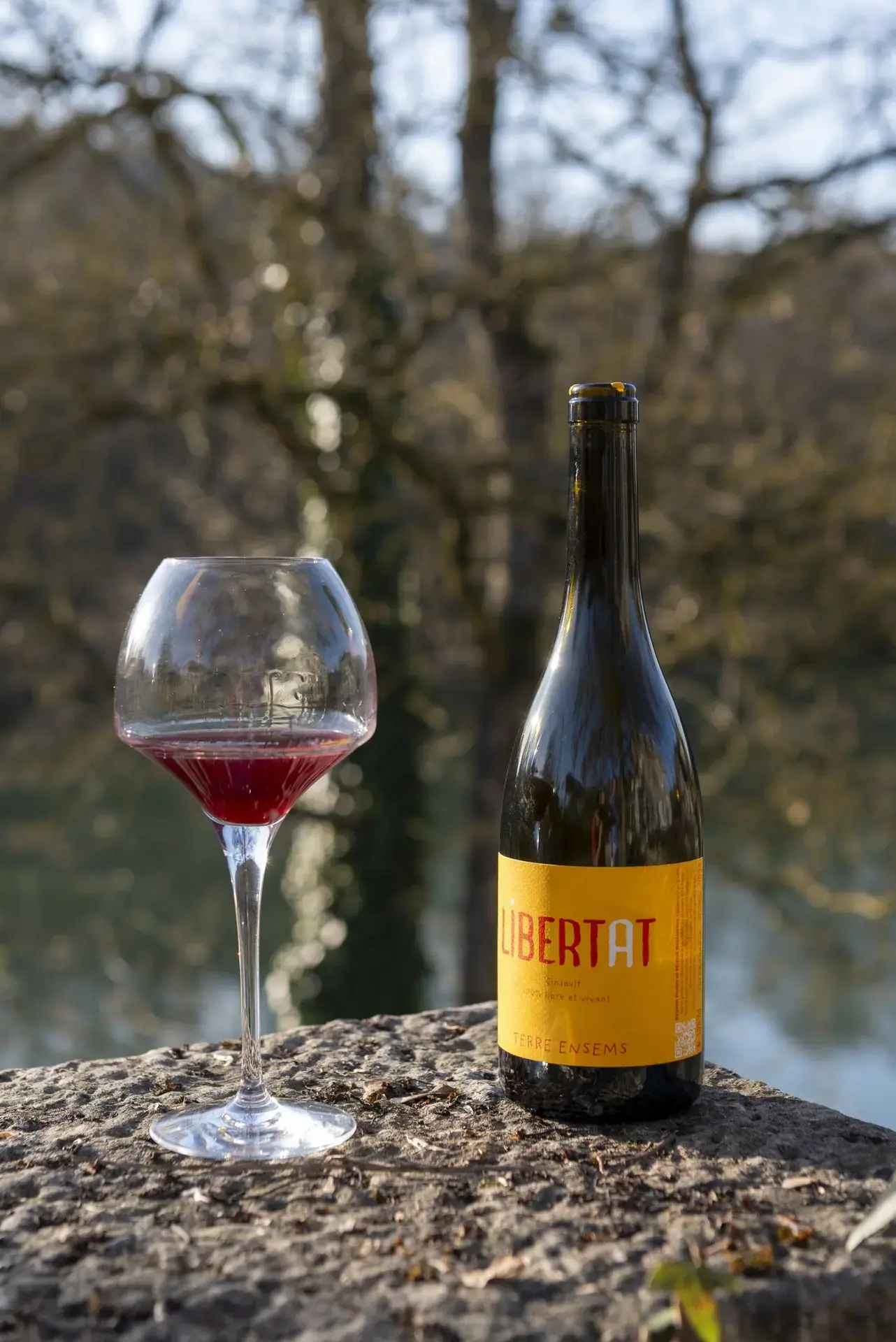 Nat Or Not, cave à vins vivants et naturesl, bio et biodynamiques