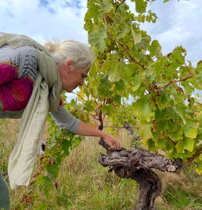 Emilie Tourette Brunet _ vignes