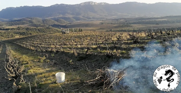 Tautavel, le vignoble Tautavel, le vignoble