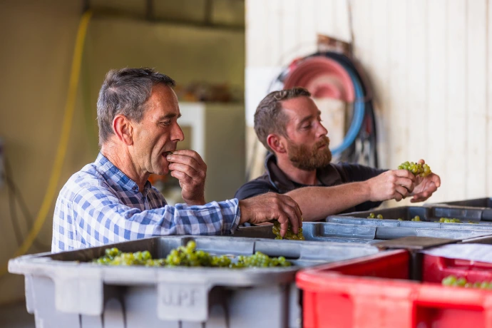Perseval Farge - champagnes, les vendanges | NatOrNot