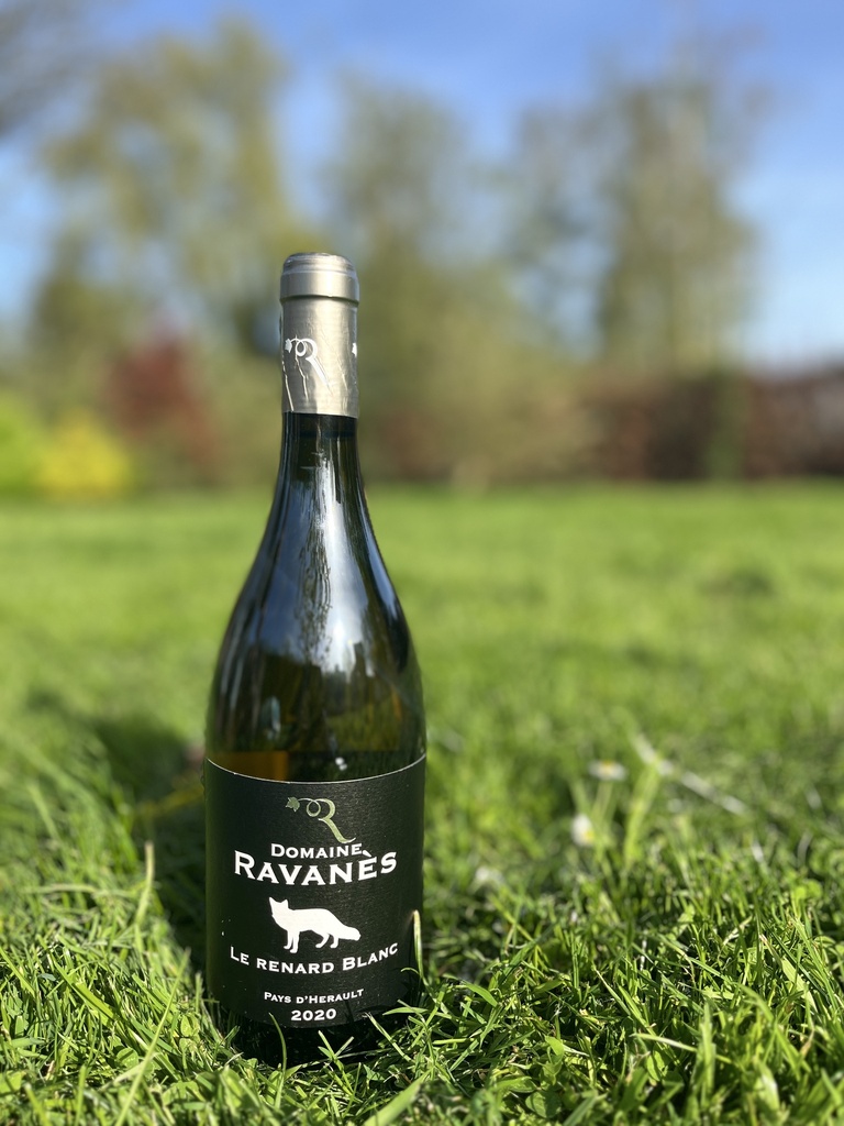 Domaine de Ravanès (France – Languedoc) – Renard Blanc 2020