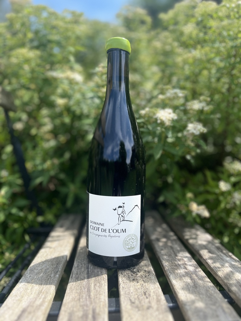 Clot de l'Oum (France - Roussillon) - Compagnie des papillons 2021