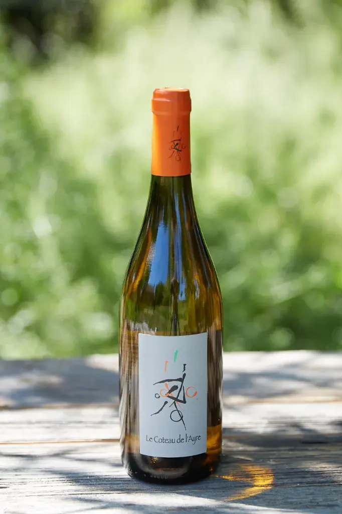 Clément Baraut (France – Loire) – Le Coteau de l’Ayre 2018 !-20%!