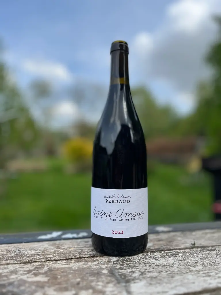Isabelle et Bruno Perraud - Côtes de la Molière (France, Beaujolais) - Saint Amour 2023