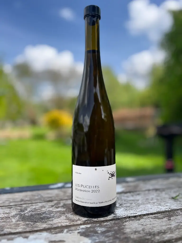 Julien Meyer (France - Alsace) - Gewurztraminer, Les Pucelles 2022