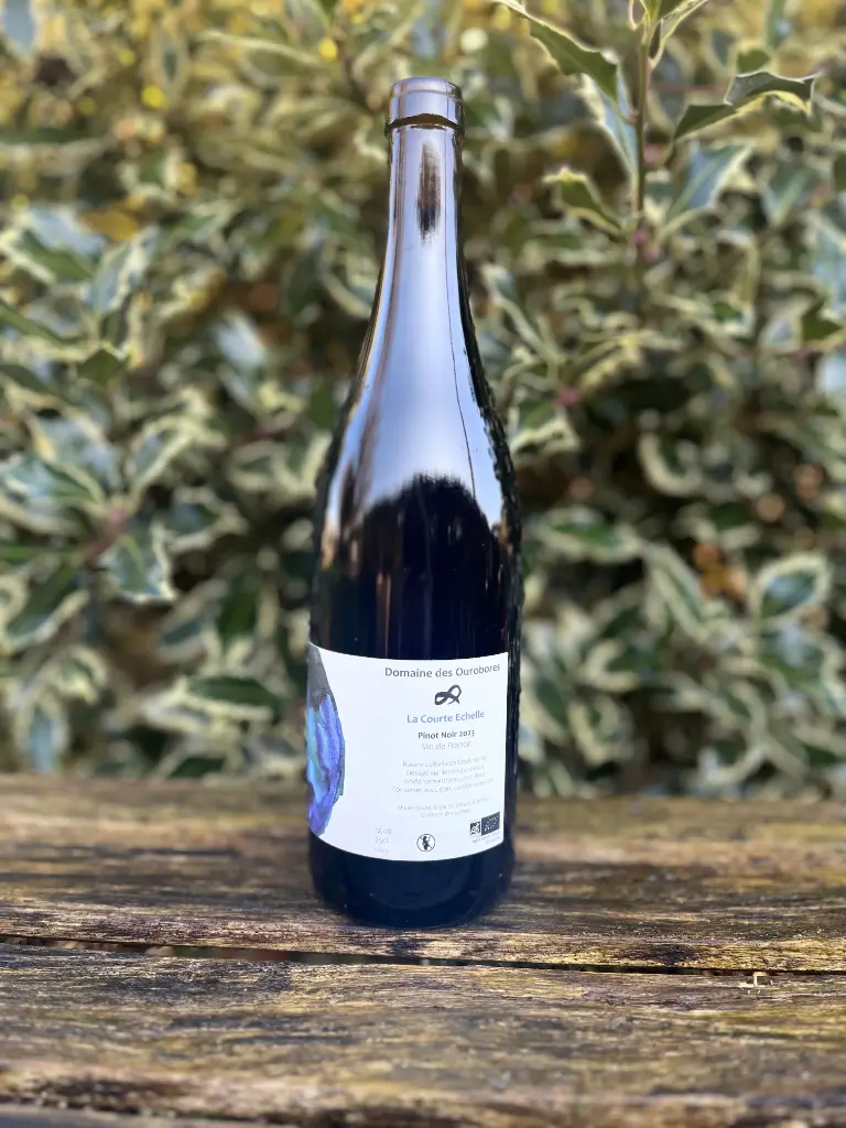 Domaine des Ourobores (France – Jura) – La courte échelle 2023