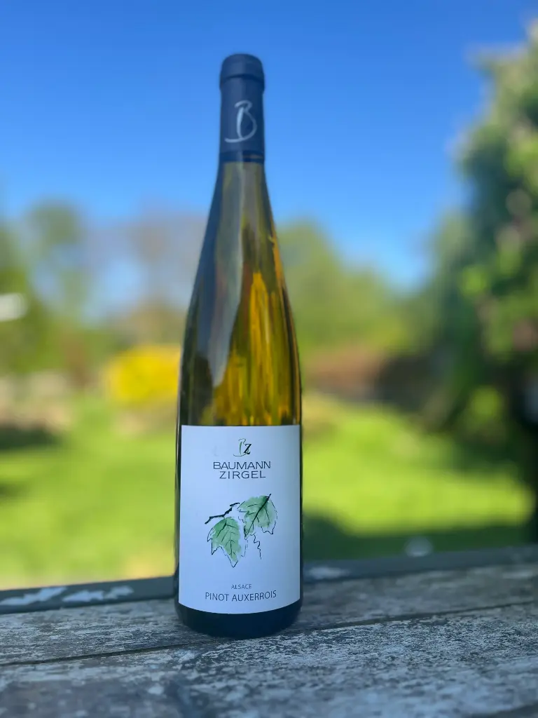 Domaine Baumann Zirgel (France – Alsace) – Pinot Auxerrois 2023