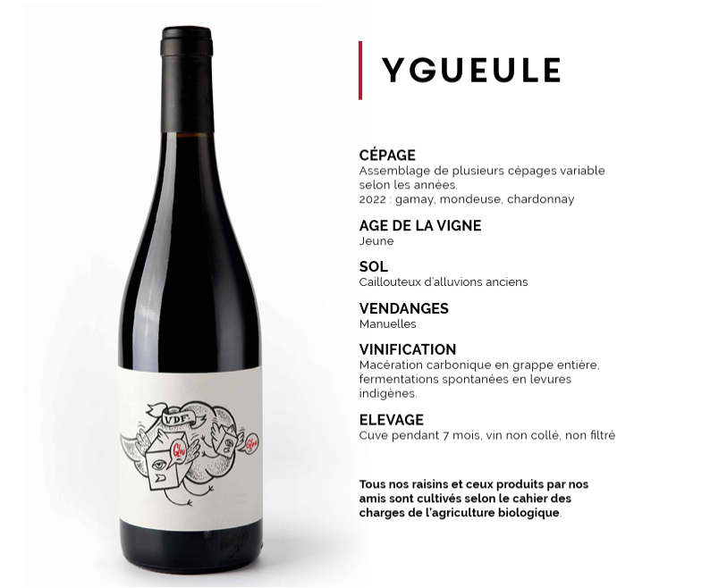 Domaine Bonnet Cotton (France – Beaujolais) – Ygueule 2022