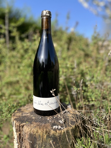Deboutbertin (France – Loire) – La Noue Blanchard 2019