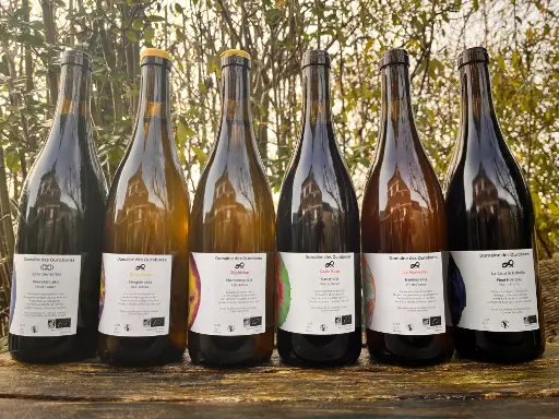 Domaine des Ourobores (France – Jura) – Grès Dentelles 2022