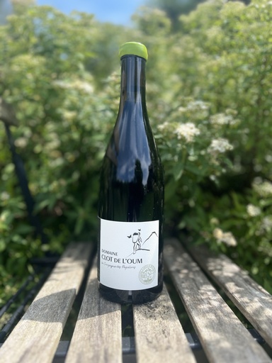 Clot de l'Oum (France - Roussillon) - Compagnie des papillons 2021