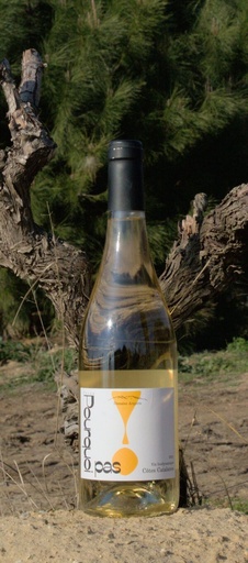 Domaine Arquiris (France - Roussillon) - Pourquoi pas 2022