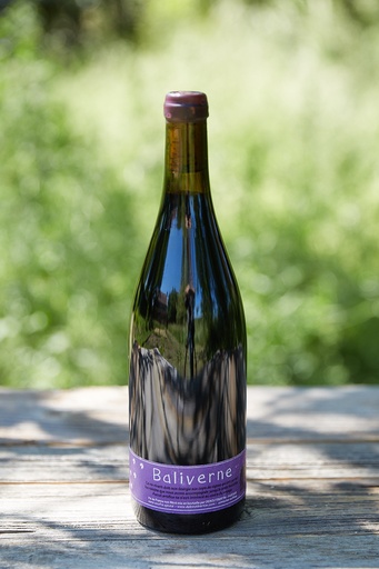 Deboutbertin (France – Loire) – Baliverne, La verticale 2018 - 2019 - 2020