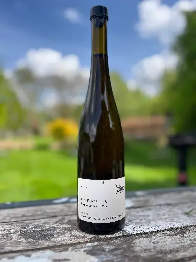 Julien Meyer (France - Alsace) - Gewurztraminer, Les Pucelles 2022