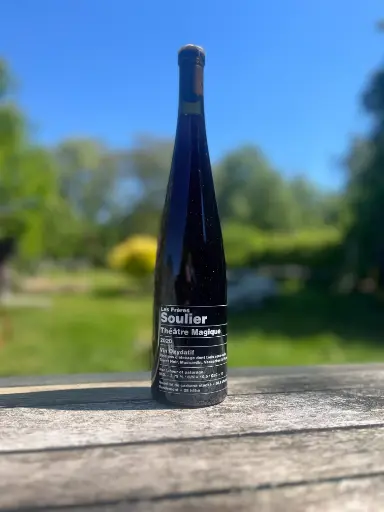 Les frères Soulier (France - Rhône) - Théâtre Magique 2020