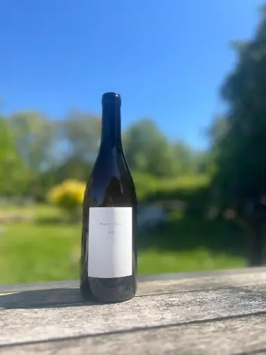 Les frères Soulier (France - Rhône) - Blanc de noir 2022