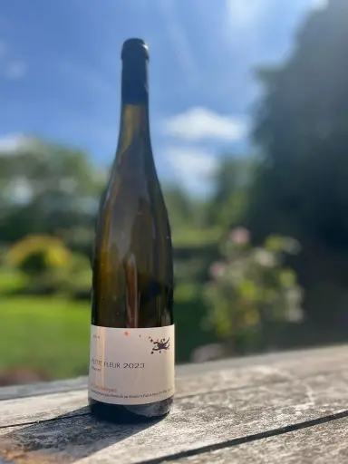 Julien Meyer (France - Alsace) - Muscat Petite Fleur 2023