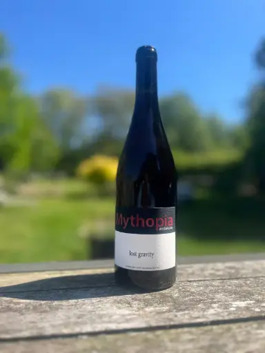 Mythopia & Les frères Soulier (France - Rhône) - Lost Gravity 2019